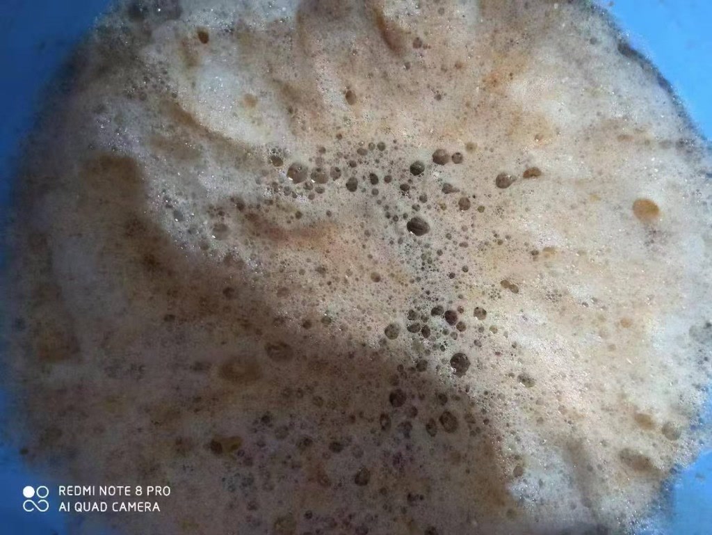 发酵工艺液面与泡沫细节