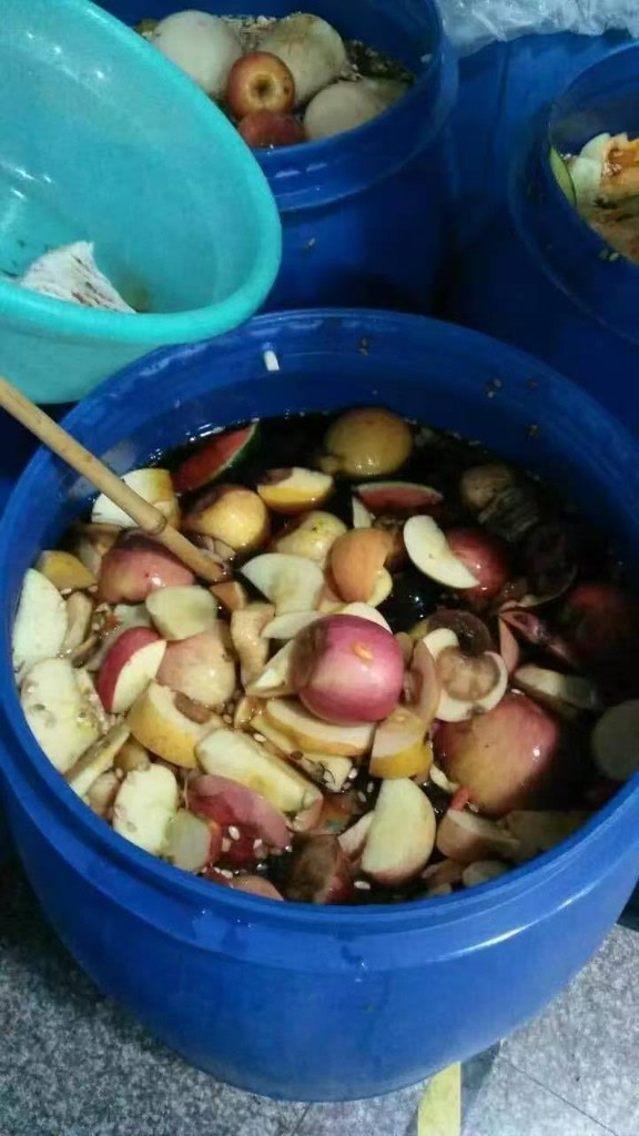桶内水果浸泡发酵工序
